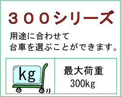 アイケーキャリー300シリーズ